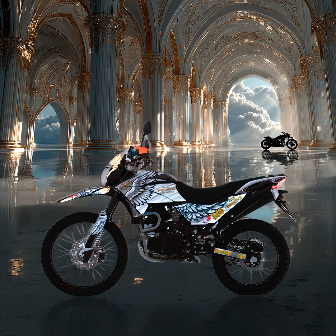 Sticker Full Kit “BTR Angelic Ride” para Italika DM250 / DM200 / Xeverus / Cross Max – Calcas Premium Personalizadas – Kit de calcas premium para moto BTR