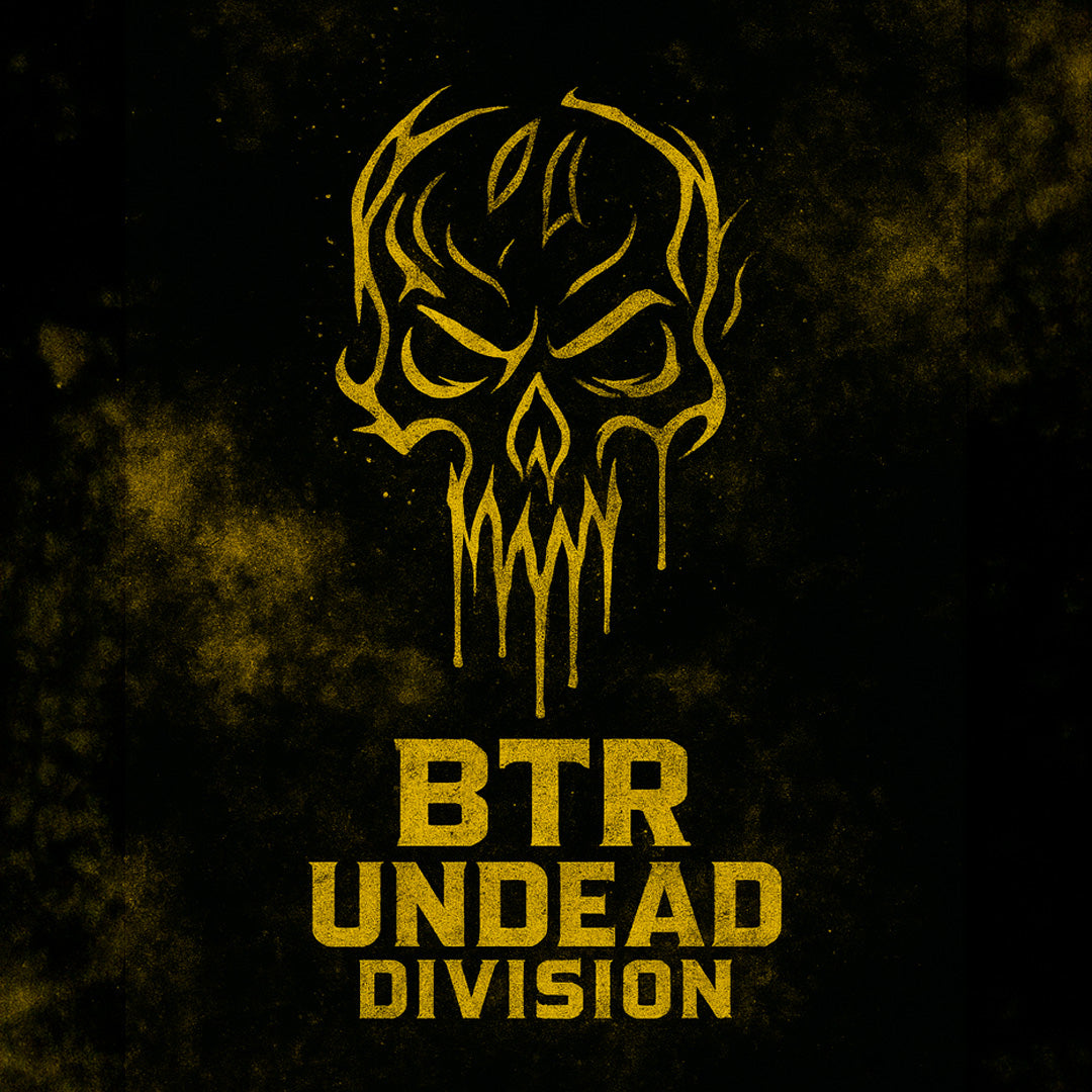 UNDEAD DIVISION