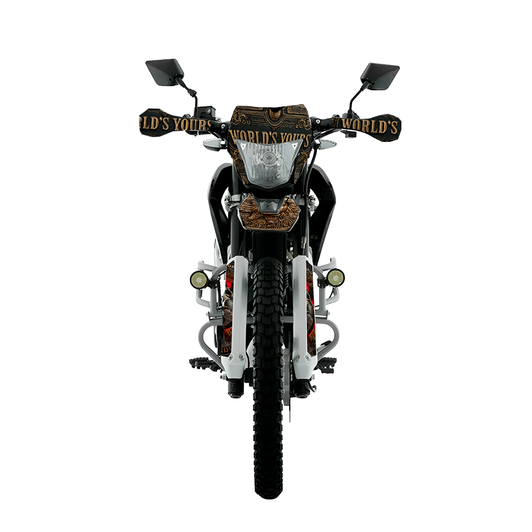 Sticker BTR Dollar Montana para Italika DM250, DM200, Xeverus y Cross Max – Calcas premium estilo mafia – Kit de calcas premium para moto BTR